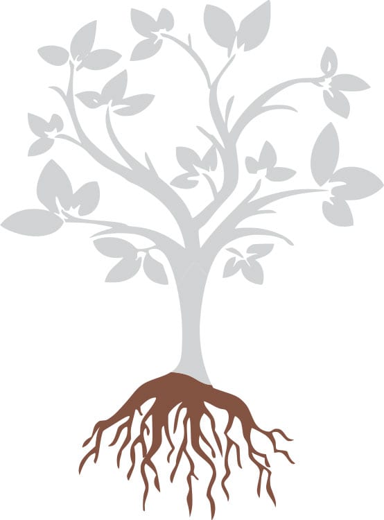 Leadership Cohort: Designing Antiracist Organizational Practices